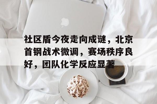 社区盾今夜走向成谜，北京首钢战术微调，赛场秩序良好，团队化学反应显著的简单介绍